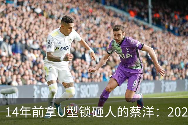 14年前拿U型锁砸人的蔡洋：2022年出狱，找不到工作靠打零工为生